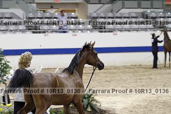 Proof 10r13_0136