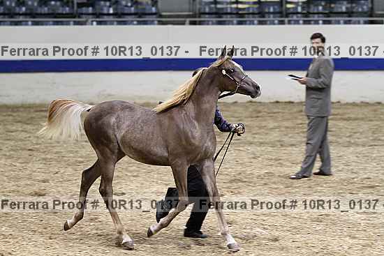 Proof 10r13_0137