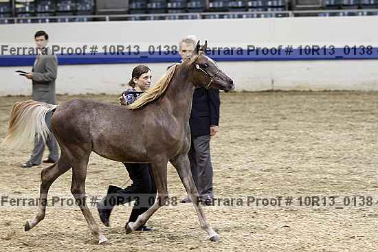 Proof 10r13_0138
