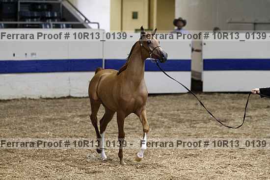 Proof 10r13_0139