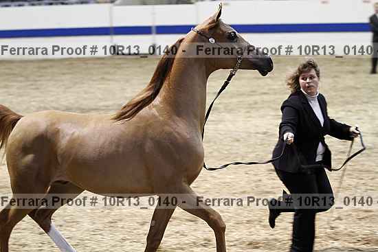 Proof 10r13_0140