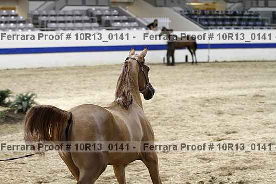 Proof 10r13_0141
