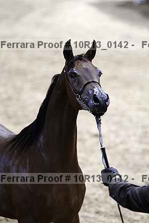 Proof 10r13_0142