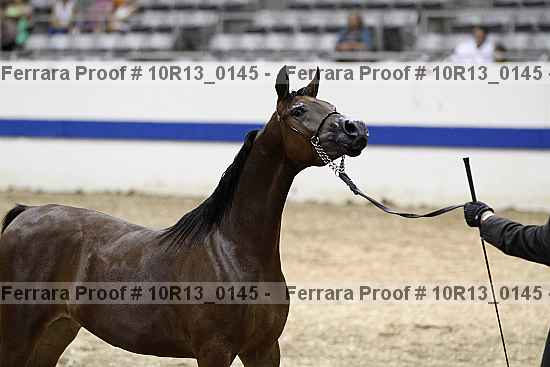 Proof 10r13_0145