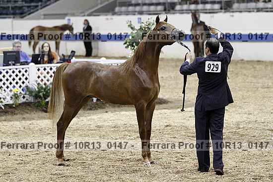 Proof 10r13_0147