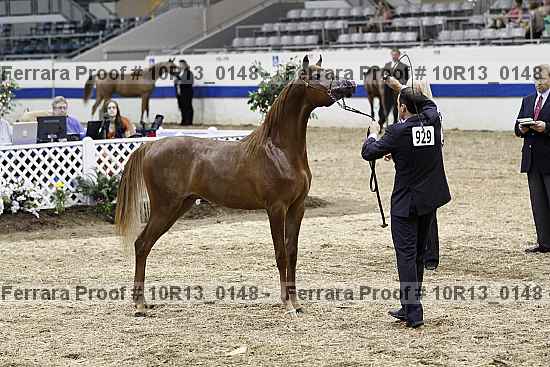 Proof 10r13_0148