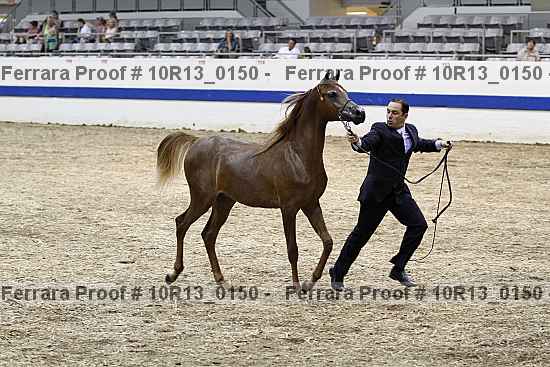 Proof 10r13_0150