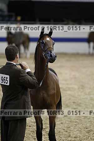 Proof 10r13_0151