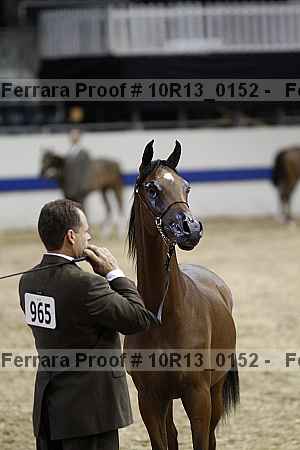 Proof 10r13_0152