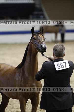Proof 10r13_0153