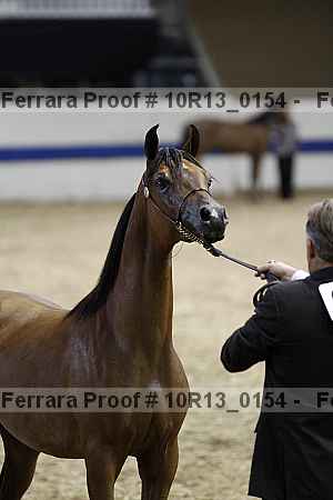 Proof 10r13_0154