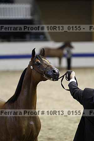 Proof 10r13_0155