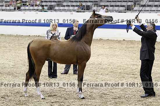 Proof 10r13_0156