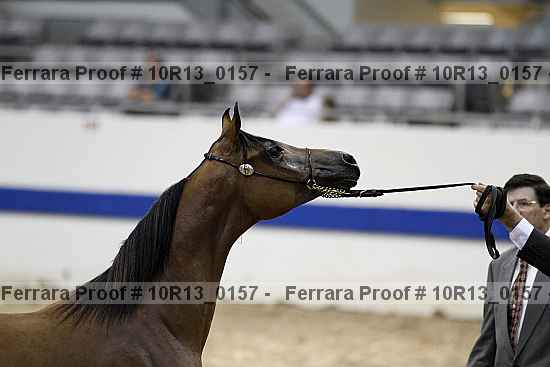 Proof 10r13_0157