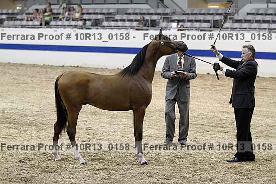 Proof 10r13_0158