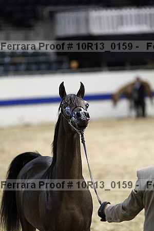 Proof 10r13_0159
