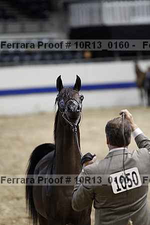 Proof 10r13_0160