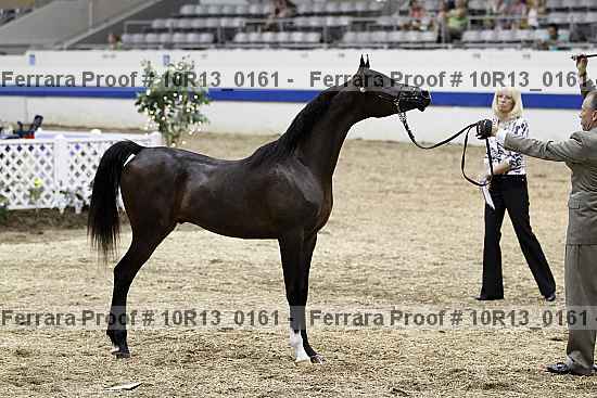 Proof 10r13_0161