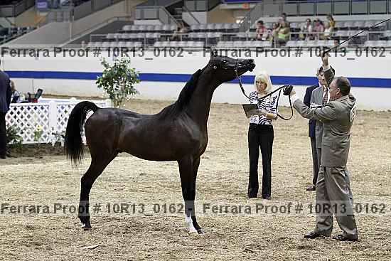 Proof 10r13_0162