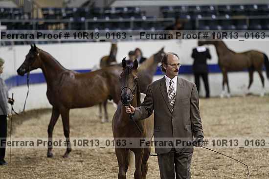 Proof 10r13_0163
