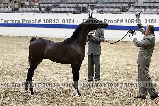 Proof 10r13_0164