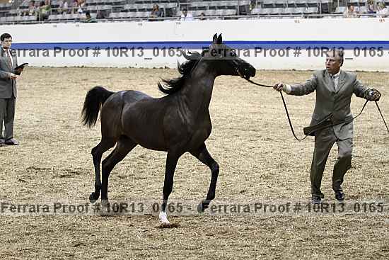 Proof 10r13_0165