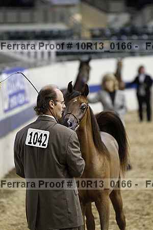 Proof 10r13_0166