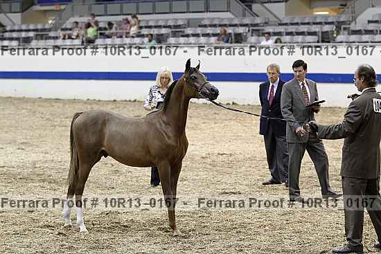Proof 10r13_0167