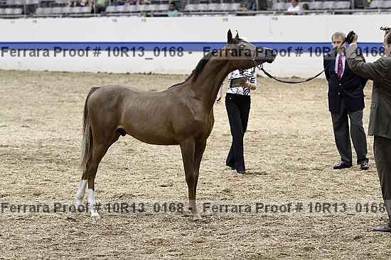 Proof 10r13_0168