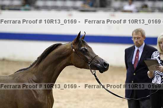 Proof 10r13_0169