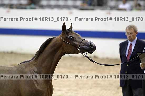 Proof 10r13_0170