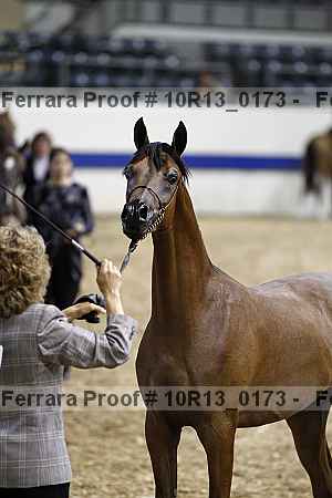 Proof 10r13_0173