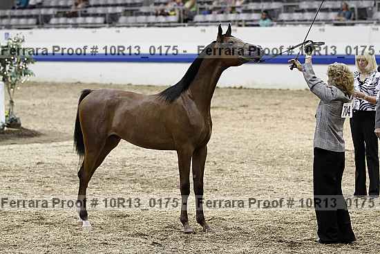 Proof 10r13_0175