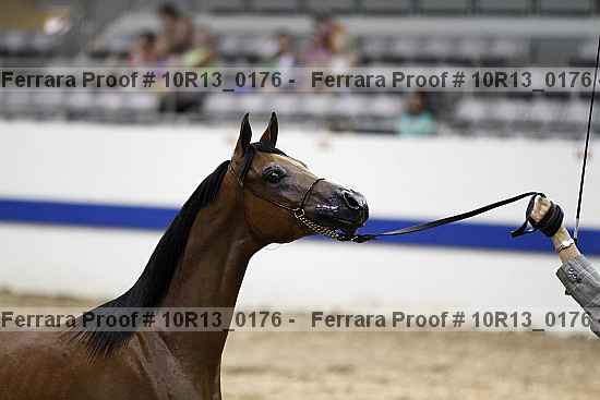 Proof 10r13_0176