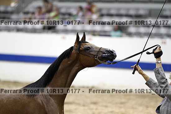 Proof 10r13_0177