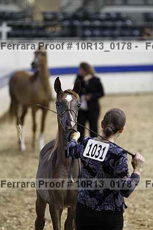 Proof 10r13_0178