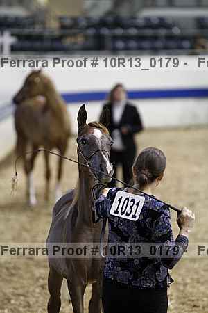 Proof 10r13_0179