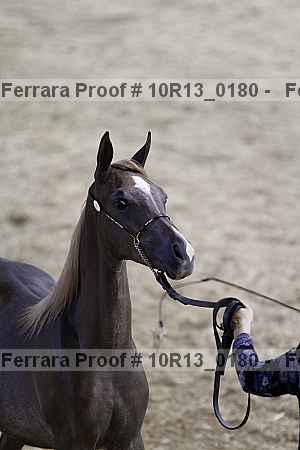 Proof 10r13_0180