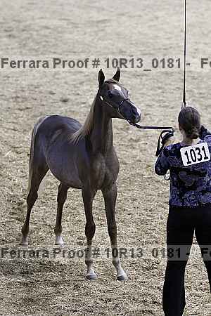 Proof 10r13_0181