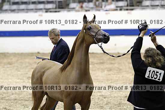 Proof 10r13_0182