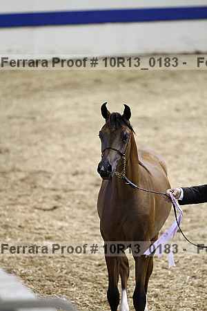 Proof 10r13_0183