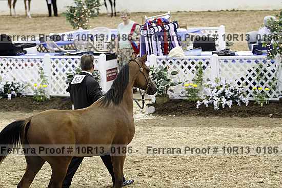 Proof 10r13_0186