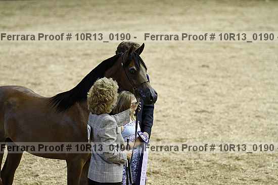 Proof 10r13_0190