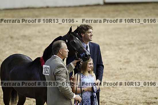 Proof 10r13_0196