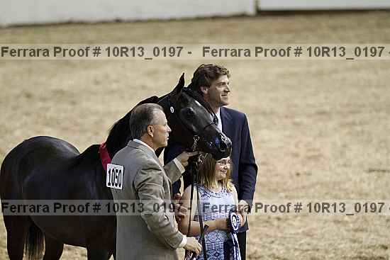 Proof 10r13_0197