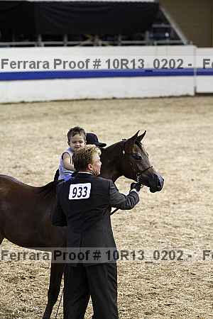 Proof 10r13_0202