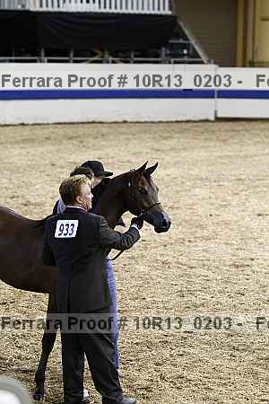 Proof 10r13_0203