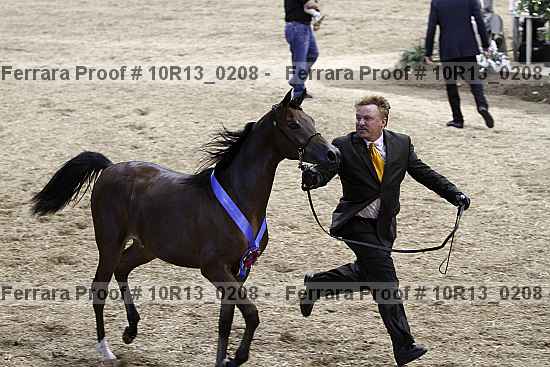 Proof 10r13_0208
