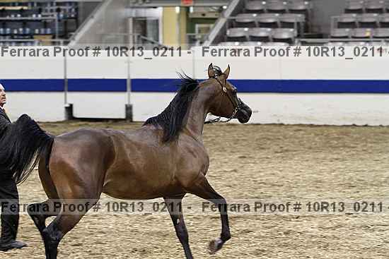 Proof 10r13_0211