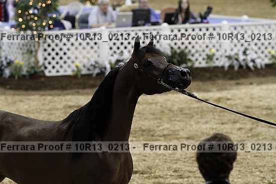 Proof 10r13_0213